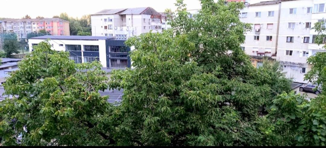 33 Coquette Apartment Μπάια Μάρε Εξωτερικό φωτογραφία