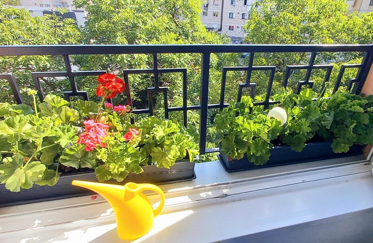 33 Coquette Apartment Μπάια Μάρε Εξωτερικό φωτογραφία