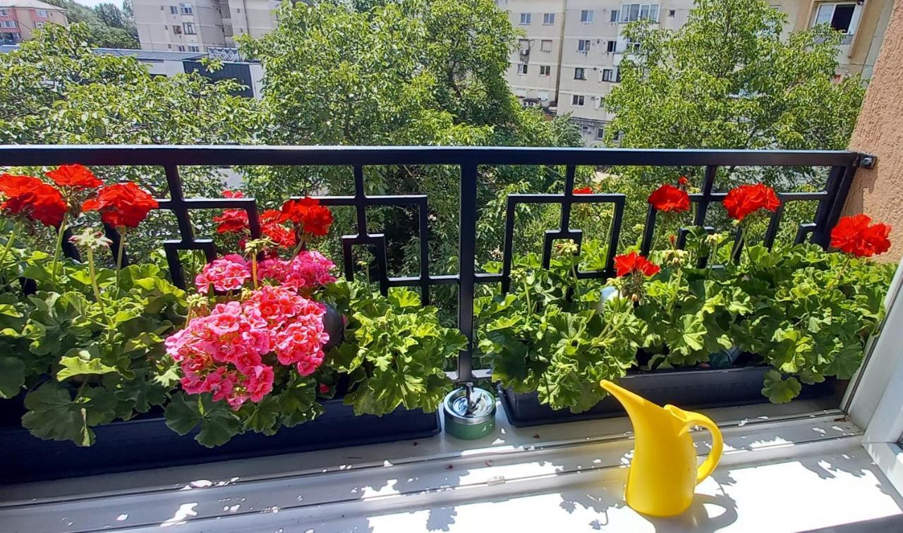 33 Coquette Apartment Μπάια Μάρε Εξωτερικό φωτογραφία